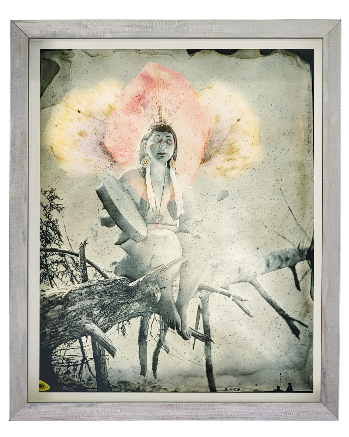Gallery 881 Editions — Gallery 881